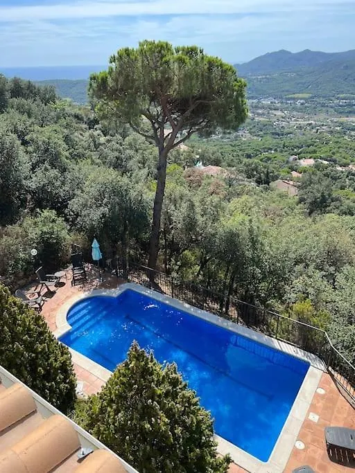 Beautiful Villa In Santa Cristina D'Aro